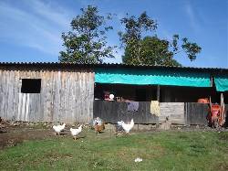 VENDO FINCA CON VIVIENDA  cartago, caolombia
