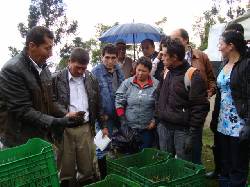 CURSO LOMBRICULTURA bogota, colombia