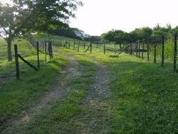 finca en santander de quilichao cauca cali, colombia