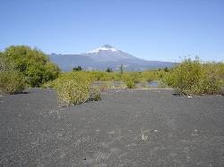 CAMPO TURISTICO EN PUCON pucon, chile