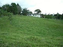 Vendo lote en Condominio La Aldea va Circasia Armenia, Colombia