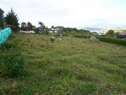 Lote campestre vendo lago Calima  Buga, Colombia