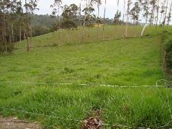 Vendo lotes  en la Mesa de los Santos bucaramanga, colombia