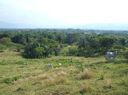 VENTA LOTE MELGAR Bogota, D.C., Colombia