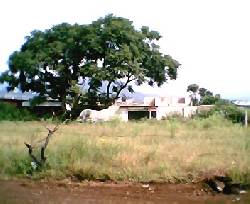 URGE VENDO TERRENO EN CUERNAVACA 200MTSX115MIL$! cuernavaca, mexico