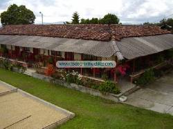 Finca en Armenia  (Quindo-Colombia) 25 cuadras Co Medellin, Colombia