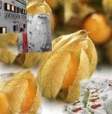 FREEZE DRIED  IN COLOMBIA bogot, Colombia