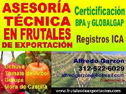 ASESORA TCNICA EN PRODUCCIN DE CULTIVOS FRUTALES Bogota, Colombia