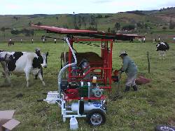 Equipo de ordeo,ordeadora. Bogot, Colombia