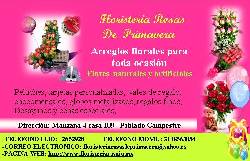 FLORISTER�A ROSAS DE PRIMAVERA cali valle, colombia