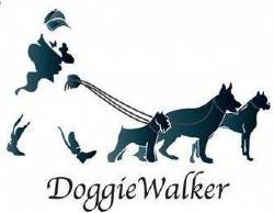 ADIESTRAMIENTO  CANINO DOGGIE WALKER cali, colombia