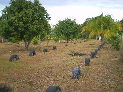 VENDO LOTE CAMPESTRE NEIVA HUILA Neiva, colombia