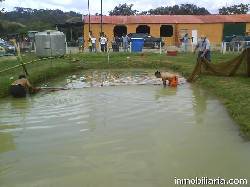 PESCA DE CACHAMAS-LAGUNAS-DESTINO RURAL-LOMAS NIRGUA-YARACUY-VENEZUELA, VENEZUELA