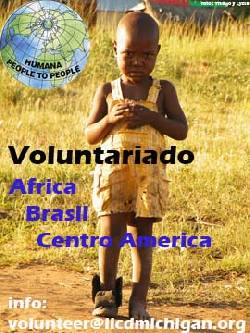 trabajo de voluntariado michigan, usa