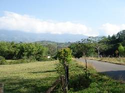 Inversionistas cali, colombia