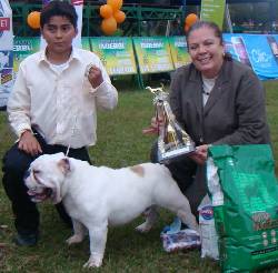 Cachorros Bulldog Bucaramanga, Colombia
