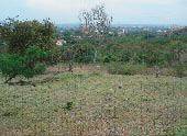 LOTE EN  CALI  PROLONGACIN AV. 9N CON CL 48N LA C bogota, colombia