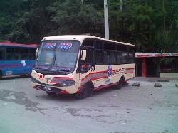 BUSETON NPR medellin, colombia