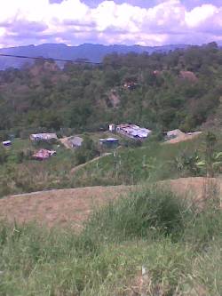 FINCA LA ISLA anolaima, colombia