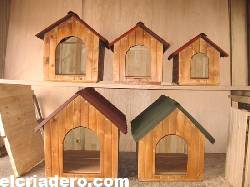 creaciones doggy medellin, colombia