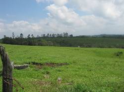 Vendo parcelas cerca Popayan desde $ 10.000 metro bOGOTA, bOGOTA