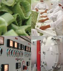 FREEZE DRIED-LIOFILIZACION-LYOPHILIZATION CURSO  Bogot, Colombia