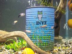 Artemia Salina Marca Inve 95 % De Eclosion. buga, colombia