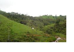 terreno con oro para mineria medellin, colombia