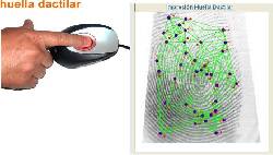 Software Control Personal Huella Dactilar Bogot, Colombia