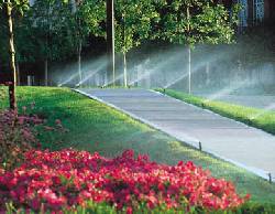 Sistema de Riego Automatico para su Jardin SANTA CRUZ DE LA SIERRA, BOLIVIA