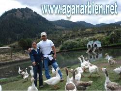 EXCELENTE NEGOCIO COASTAL VACATIONS Madrid/Madrid, Espaa