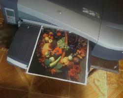 impresora hp designjet como nueva cali, colombia