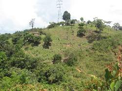 Se Vende Finca (Terreno con casa Peque�a) Medellin, 57