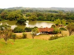 vendo lote potrerito CALI, COLOMBIA