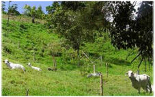 Venta Permuta Finca Cali, Colombia