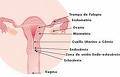 SOLUCION MDICA ATRASO MENSTRUAL TELF. 999 659 807 lima, peru