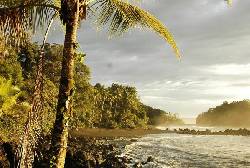 Nuqu Nuqui, Colombia