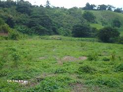 vendo cinco lotes de terreno Esmeraldas, Ecuador