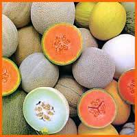 Alimentos Ecologicos Certificados Cali, Colombia
