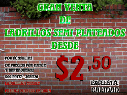 venta de ladrillos coloados y plateados  suarez uruguay, uruguay